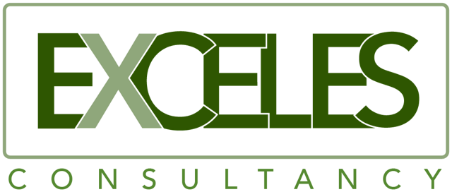 Exceles Consultancy